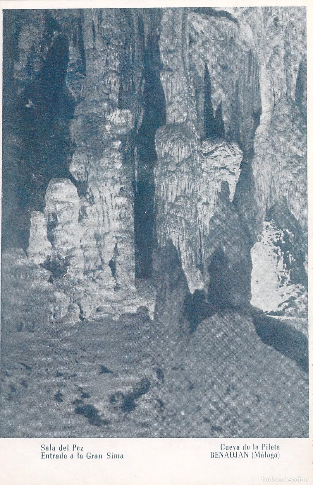 Postales: Postal de la Cueva de la Pileta en Benaojan, Sala del Pez