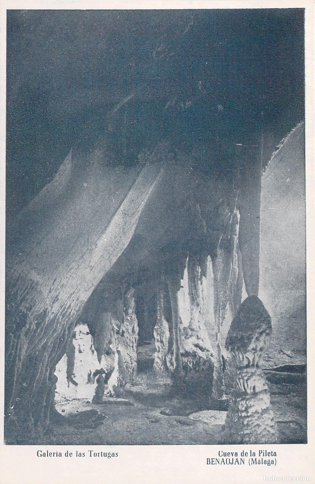 Postales: Postal de la Galer&iacute;a de las Tortugas en la Cueva de la Pileta, Benaoj&aacute;n