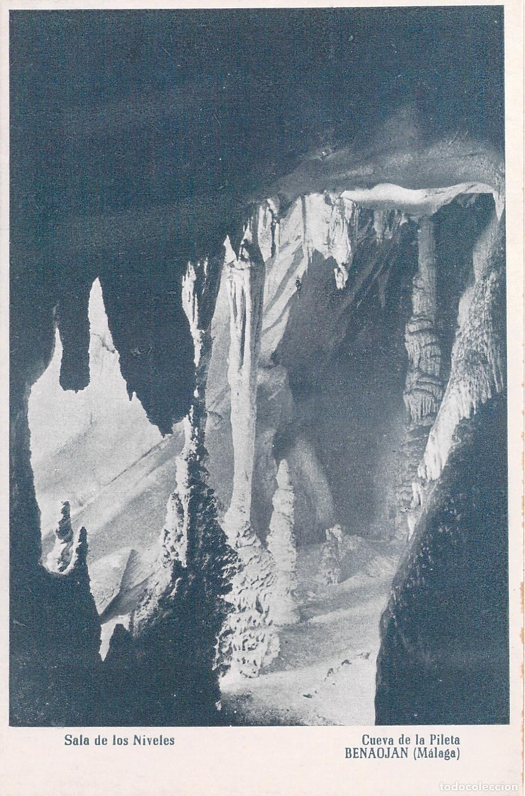 Postales: Postal de la Cueva de la Pileta en Benaojan, Malaga