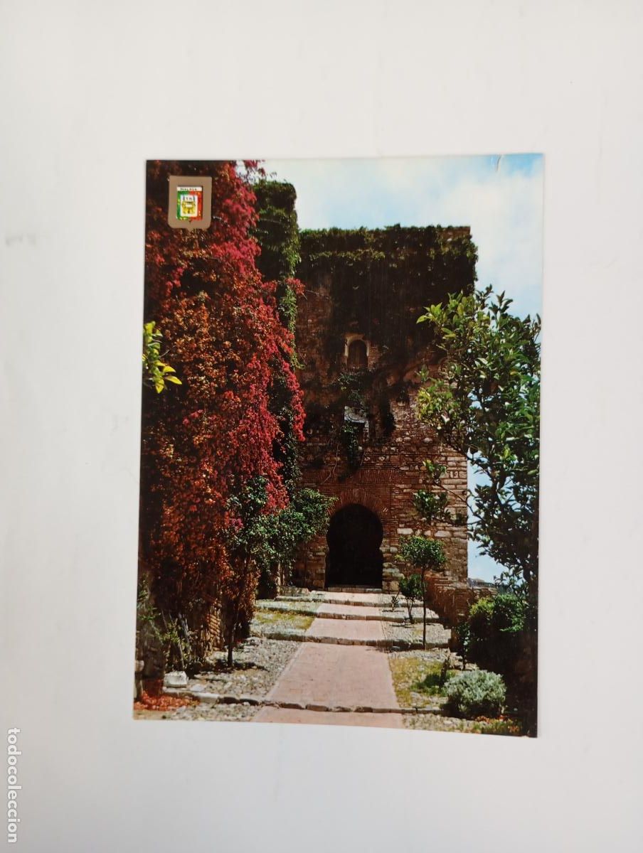 Postales: POSTAL DE M&Aacute;LAGA. COSTA DEL SOL. TDKP29V