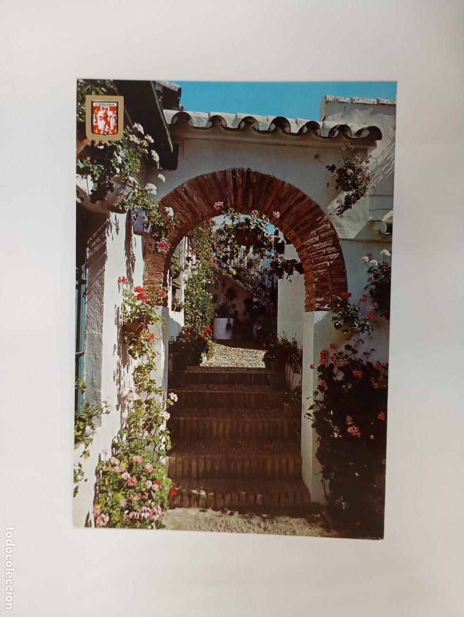 Postales: POSTAL DE C&Oacute;RDOBA. PATIO CALLE MONTERO. TDKP29X