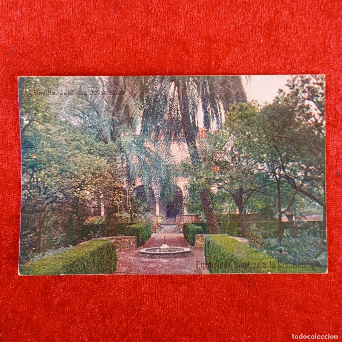 Postales: POSTAL - SEVILLA - JARDINES DEL ALCAZAR - HIPOFOFITOS SALUD - TORTOSA - RAR&Iacute;SIMA / 919