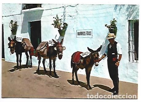 Postales: PARADA DE BURROS TAXI.- MIJAS / MALAGA