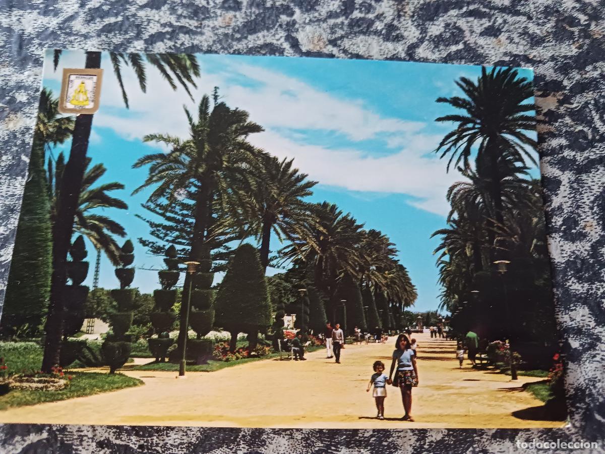 Postales: 1127 cadiz, parque genoves, ed. subirats