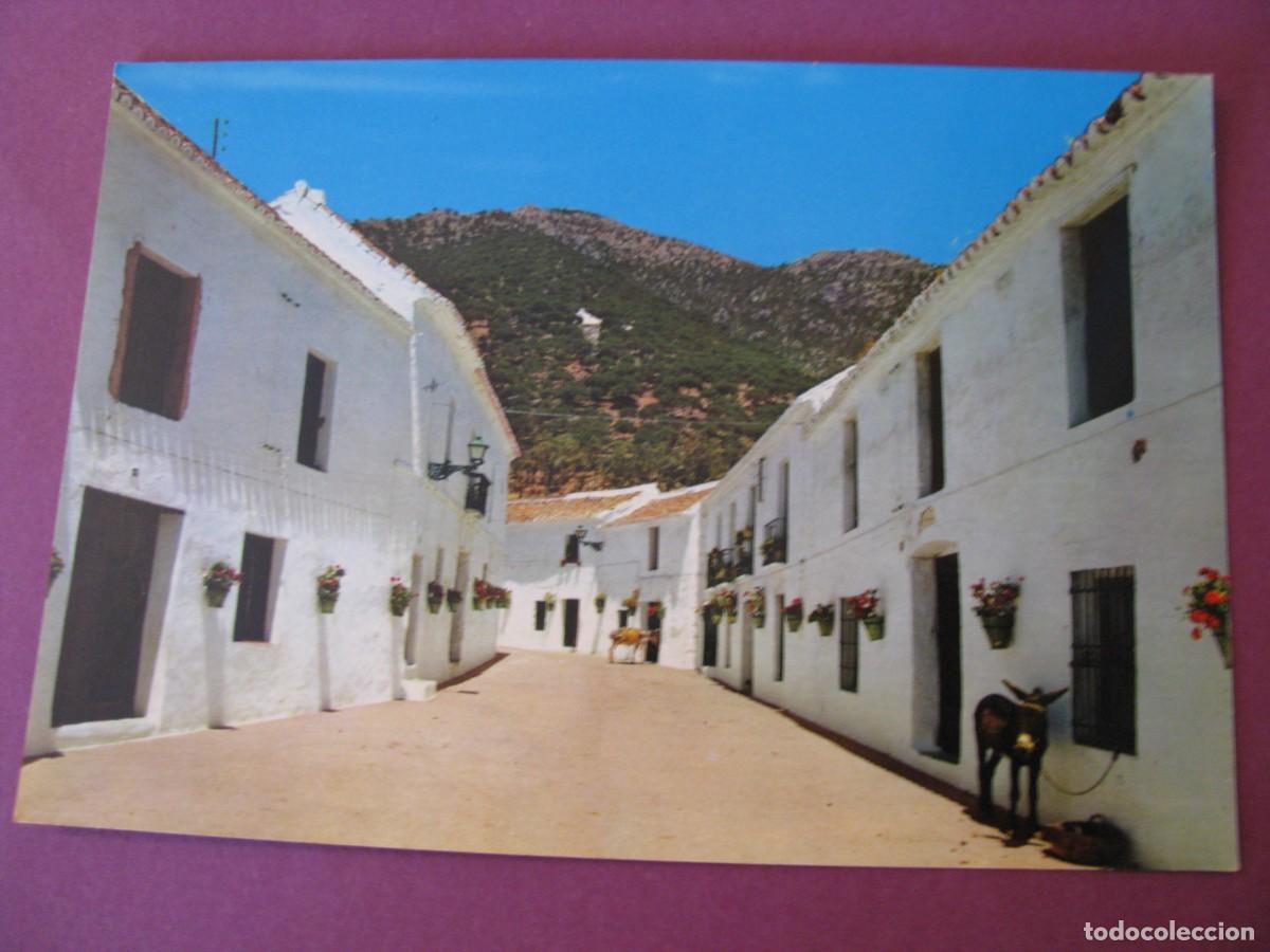 Postales: POSTAL DE COSTA DEL SOL. MIJAS. CALLE DE LOS CA&Ntilde;OS. BEASCOA 967