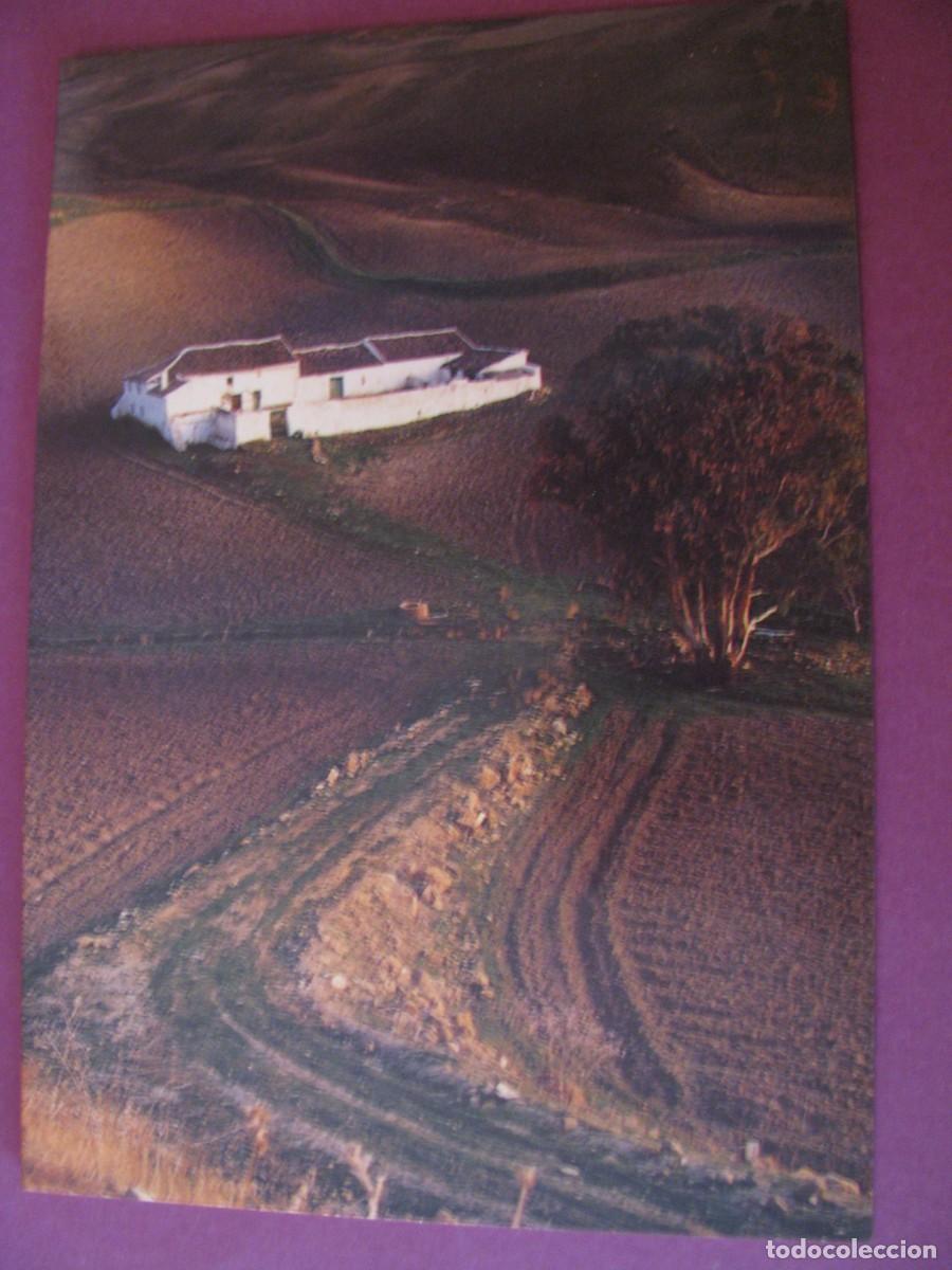 Postales: POSTAL DIPTICA DE FOTOGRAFO MICHAEL LEWIN 1992. SERIE PAISAJES ANDALUCES. RONDA, FINCA