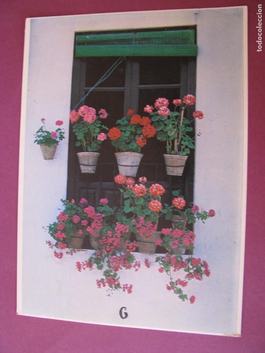 Postales: POSTAL DE ANDALUCIA. DETALLE. POSTAL TRIANGULO.