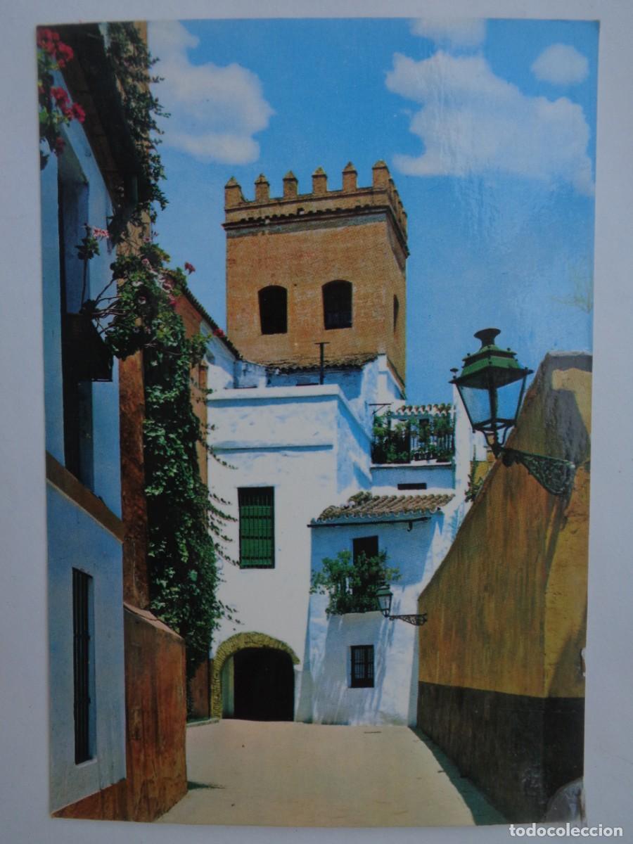 Postales: POSTAL DE SEVILLA : TORREON DE JUDERIA . A&Ntilde;OS 60
