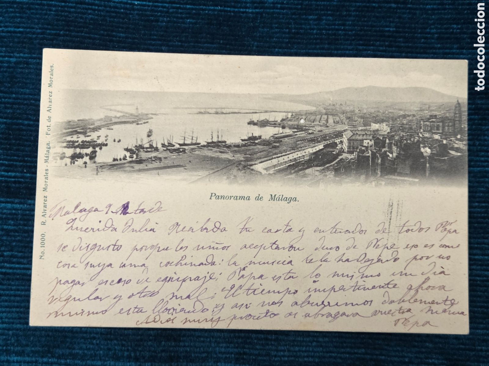 Postales: PANORAMA DE M&Aacute;LAGA C. 1900 &Aacute;lvarez Morales.