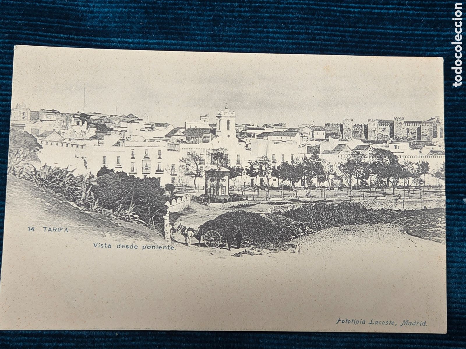 Postales: TARIFA. C&Aacute;DIZ VISTA DESDE PONIENTE Fototipia Lacoste