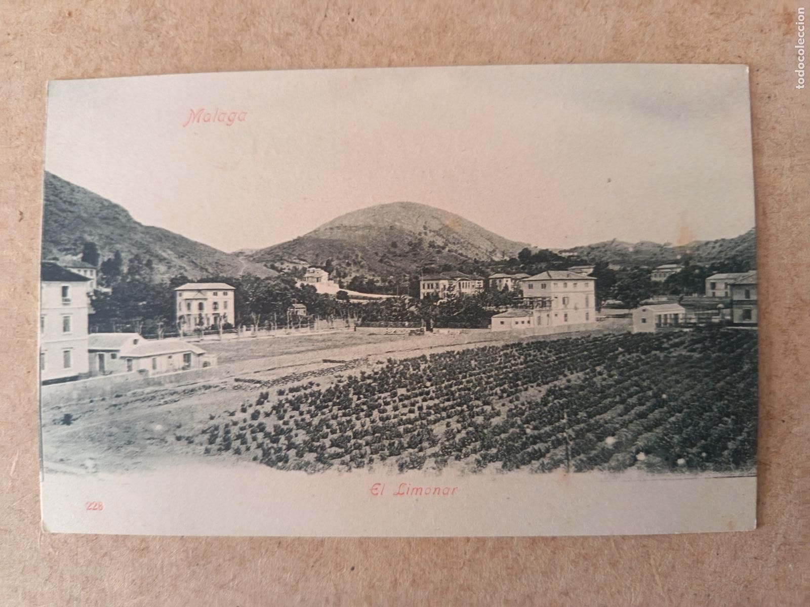 Postales: MALAGA. N&ordm; 228. EL LIMONAR. DORSO SIN DIVIDIR.