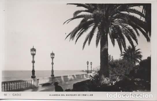 Postales: CADIZ ALAMEDA M COMILLAS SIN ESCRIBIR RESTO DE HABER ESTADO PEGADA