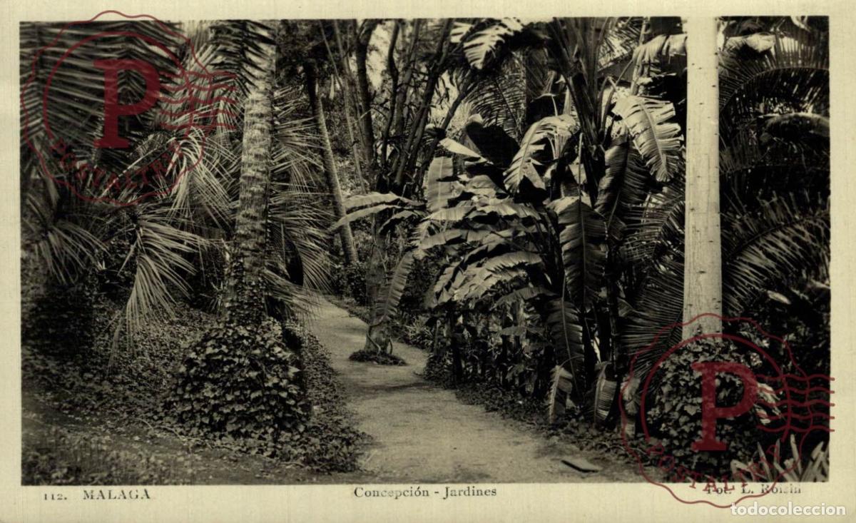 Postcards: M&Aacute;LAGA. Concepci&oacute;n - Jardines. ANDALUC&Iacute;A ESPA&Ntilde;A ESPAGNE