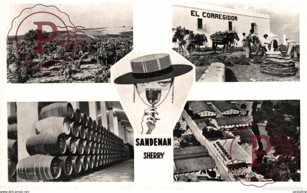 Postales: SANDEMAN VINEYARDS & BODEGAS JEREZ DE LA FRONTERA. C&Aacute;DIZ ANDALUC&Iacute;A ESPA&Ntilde;A ESPAGNE