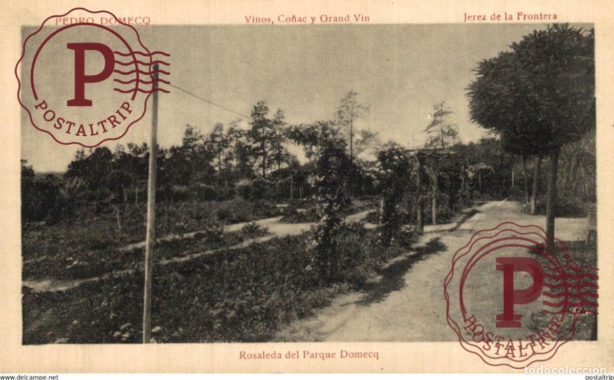 Postales: CADIZ. JEREZ DE LA FRONTERA. BODEGAS PEDRO DOMECQ. ROSALEDA.