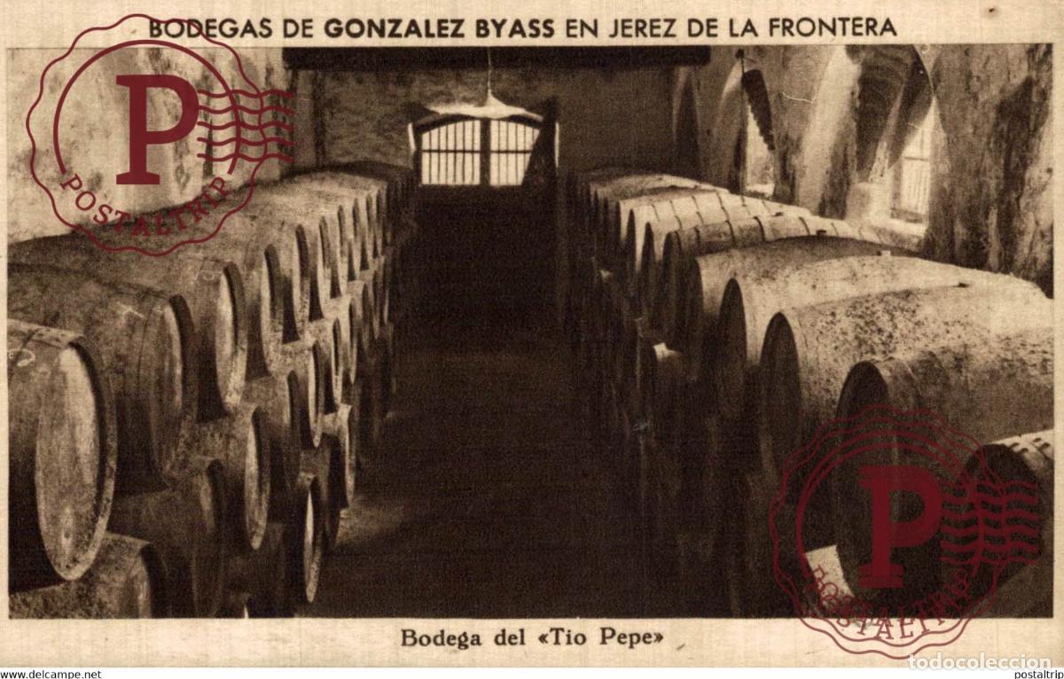Postales: CADIZ. JEREZ DE LA FRONTERA. BODEGAS GONZALEZ BYASS. BODEGA DEL TIO PEPE.