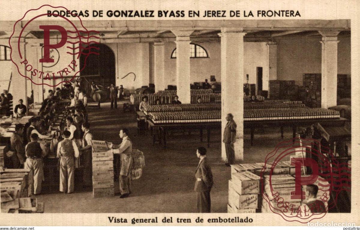 Postales: CADIZ. JEREZ DE LA FRONTERA. BODEGAS GONZALEZ BYASS. VISTA GENERAL DEL TREN DE EMBOTELLADO.