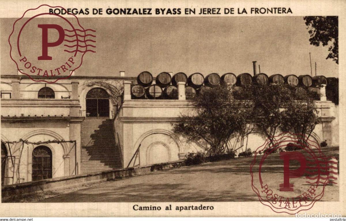 Postales: CADIZ. JEREZ DE LA FRONTERA. BODEGAS GONZALEZ BYASS. CAMINO AL APARTEDERO.