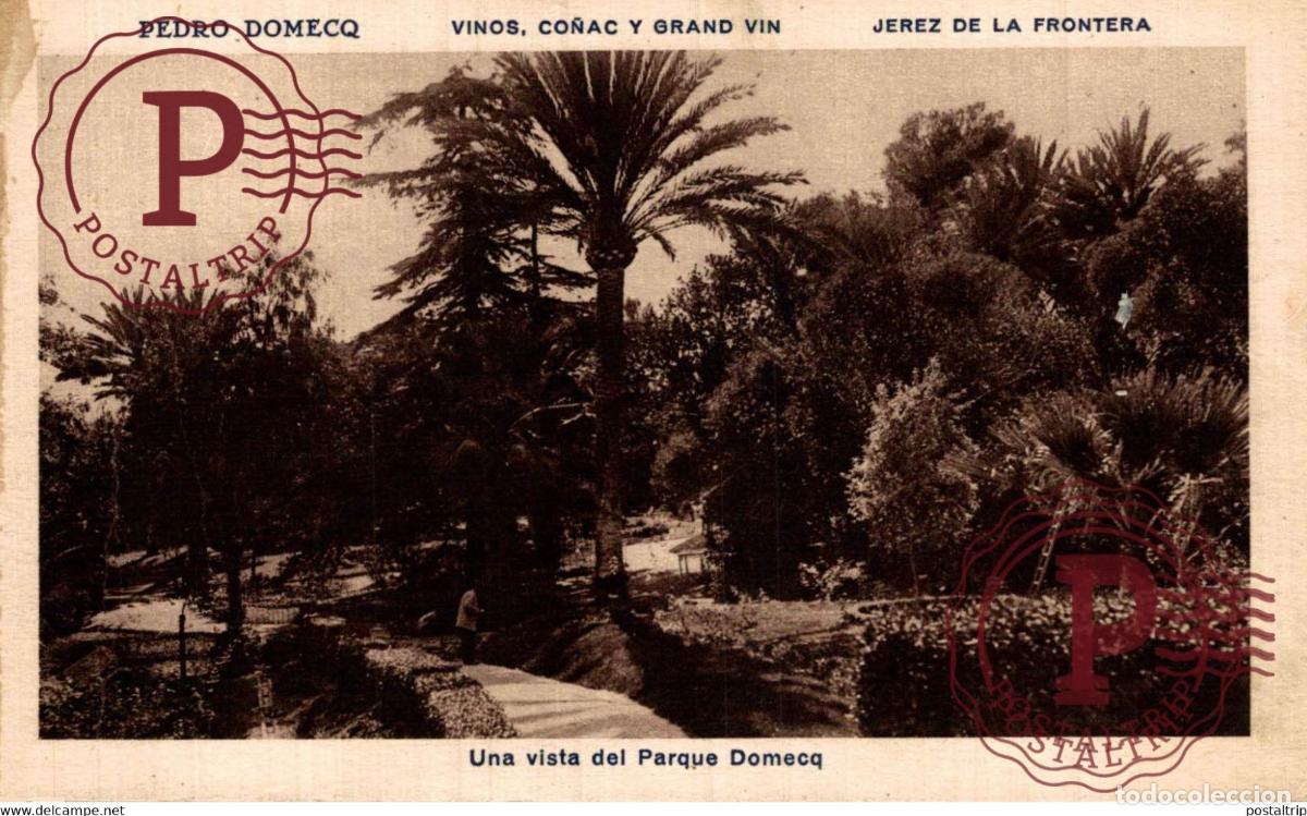 Postales: CADIZ. JEREZ DE LA FRONTERA. PEDRO DOMECQ. UNA VISTA DEL PARQUE.