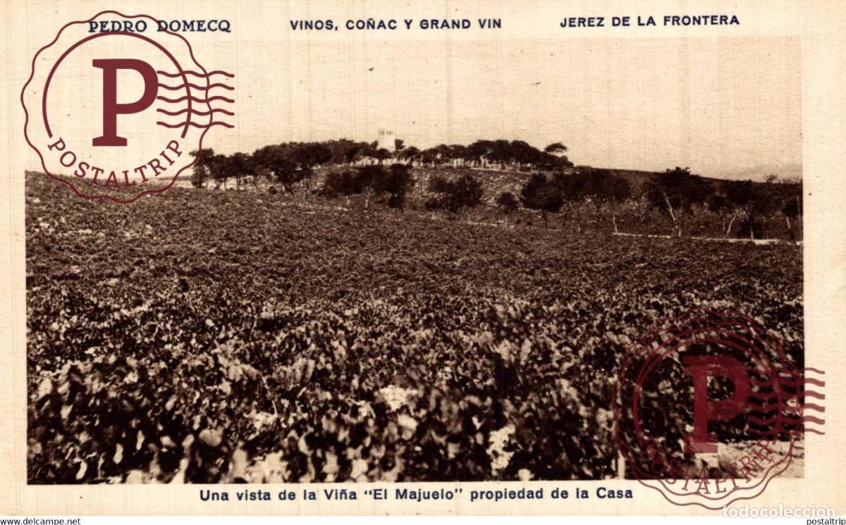 Postales: CADIZ. JEREZ DE LA FRONTERA. PEDRO DOMECQ. VI&Ntilde;A EL MAJUELO.