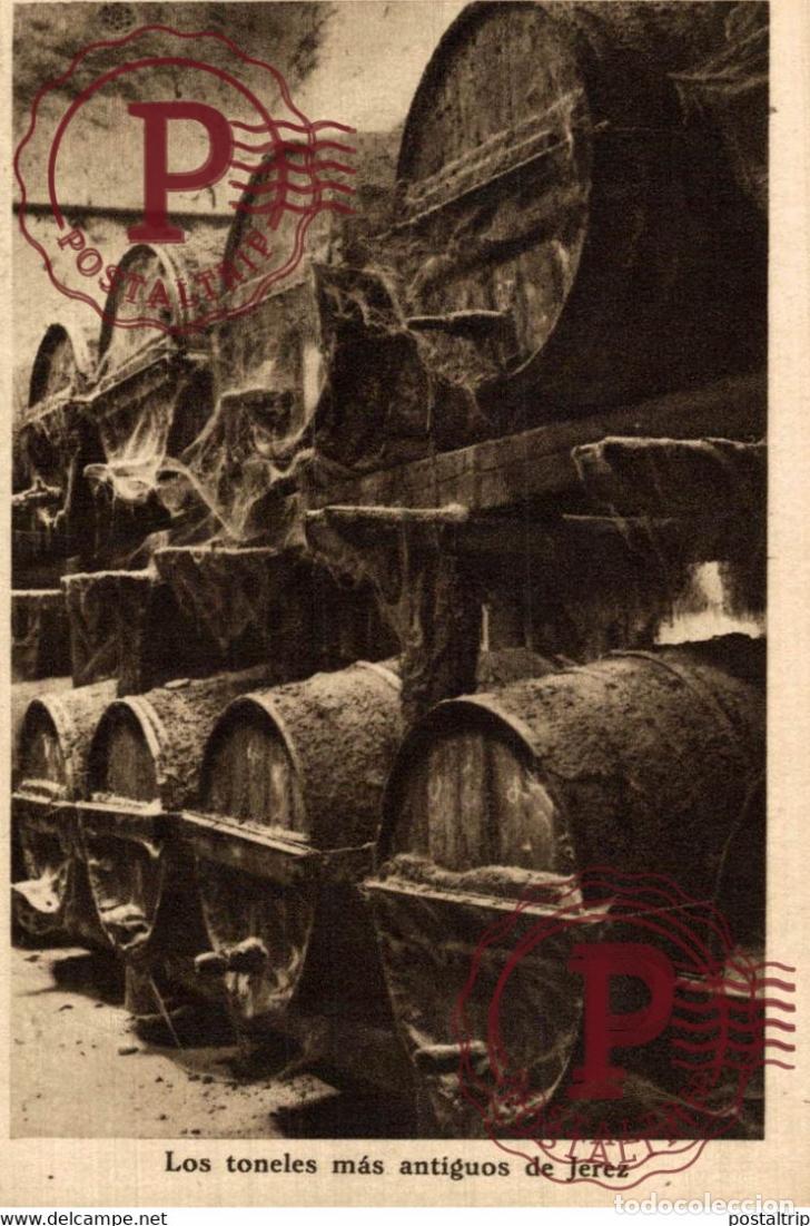 Postales: CADIZ. JEREZ DE LA FRONTERA. BODEGAS GONZALEZ BYASS. LOS TONELES MAS ANTIGUOS DE JEREZ.