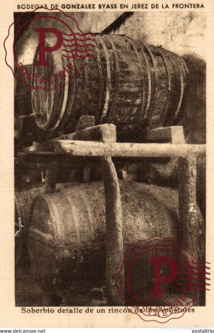 Postales: CADIZ. JEREZ DE LA FRONTERA. BODEGAS GONZALEZ BYASS. DETALLE DE UN RINCON DE LOS APOSTOLES.