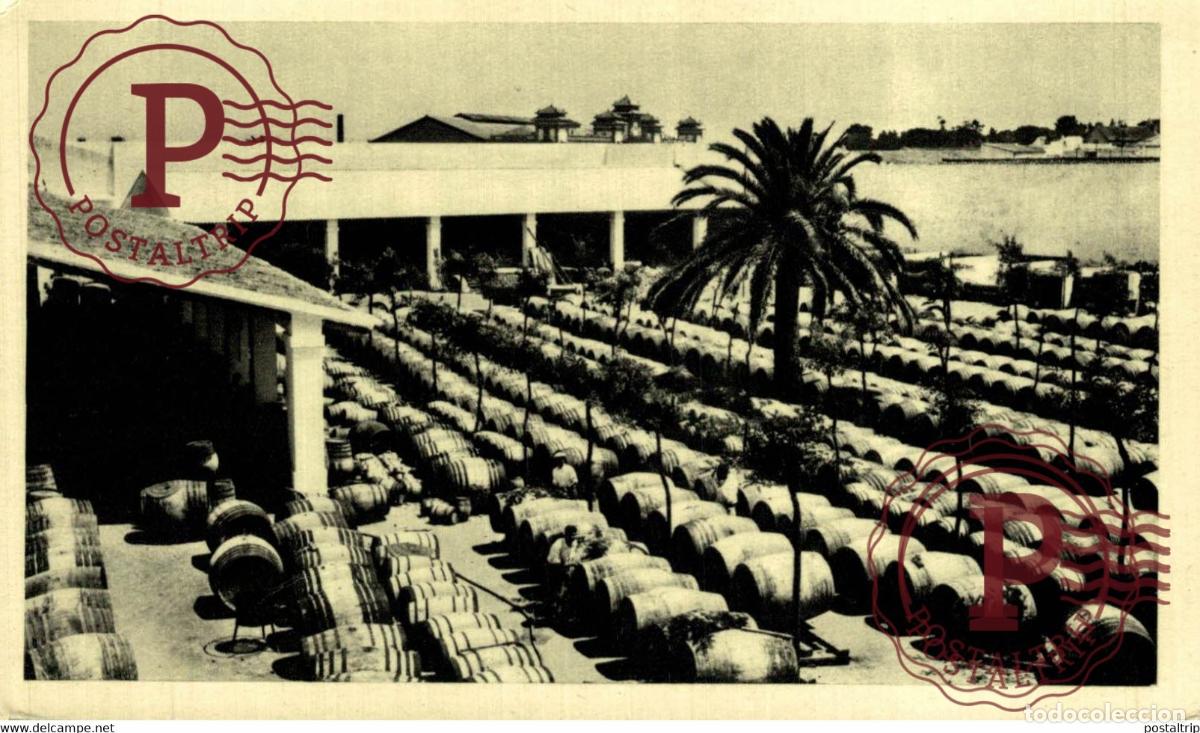 Postales: CADIZ. JEREZ DE LA FRONTERA. BODEGA DEL BACO.