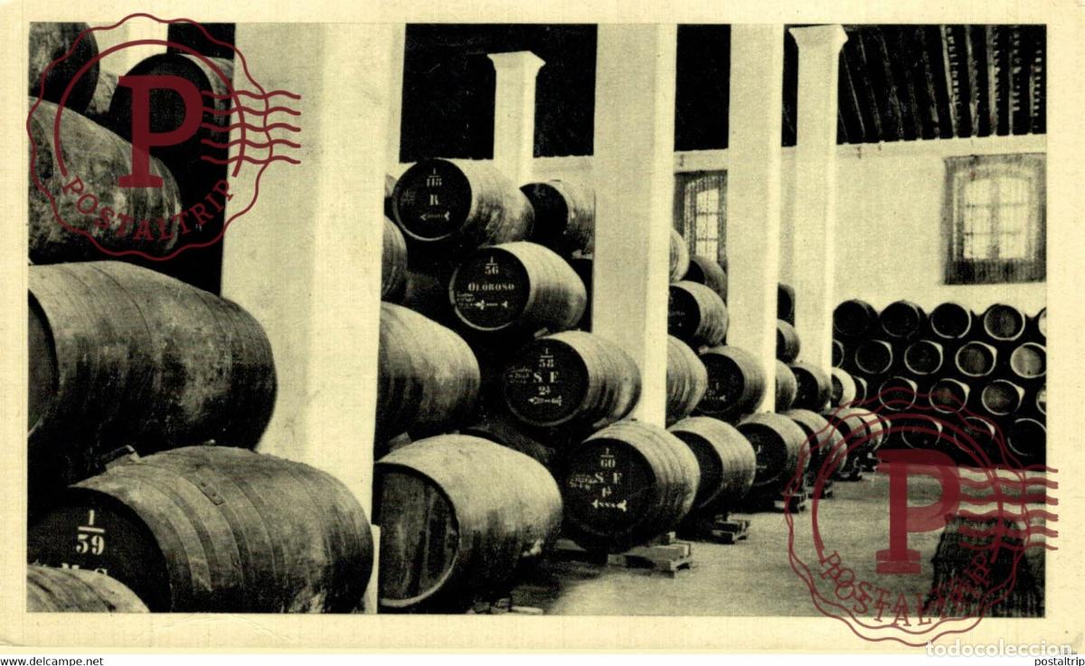 Cartes Postales: CADIZ. JEREZ DE LA FRONTERA. BODEGA DEL BACO.