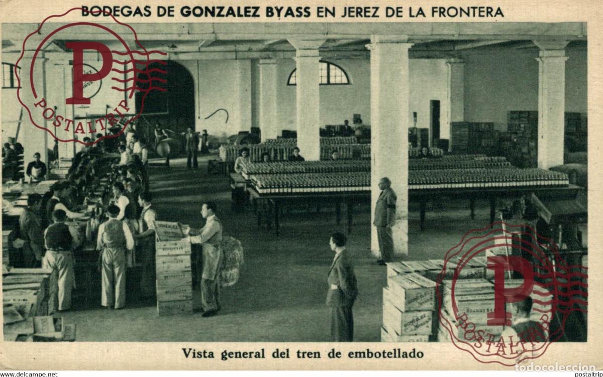 Postales: BODEGAS DE GONZALEZ BYASS EN JEREZ DE LA FRONTERA, VISTA GENERAL DEL TREN DE EMBOTELLADO. CADIZ ANDA