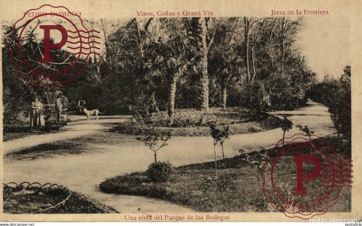 Postales: PEDRO DOMECQ, VINOS CO&Ntilde;AC GRAN VIN, JEREZ DE LA FRONTERA. UNA VISTA DEL PARQUE DE LAS BODEGAS. CADIZ