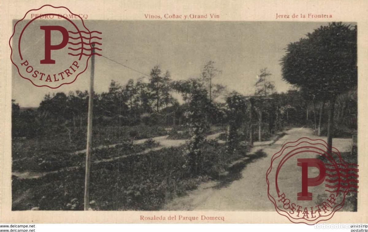 Postales: PEDRO DOMECO- VINOS, CO&Ntilde;AC Y GRAND VIN - JEREZ DE LA FRONTERA. C&Aacute;DIZ ANDALUC&Iacute;A ESPA&Ntilde;A ESPAGNE