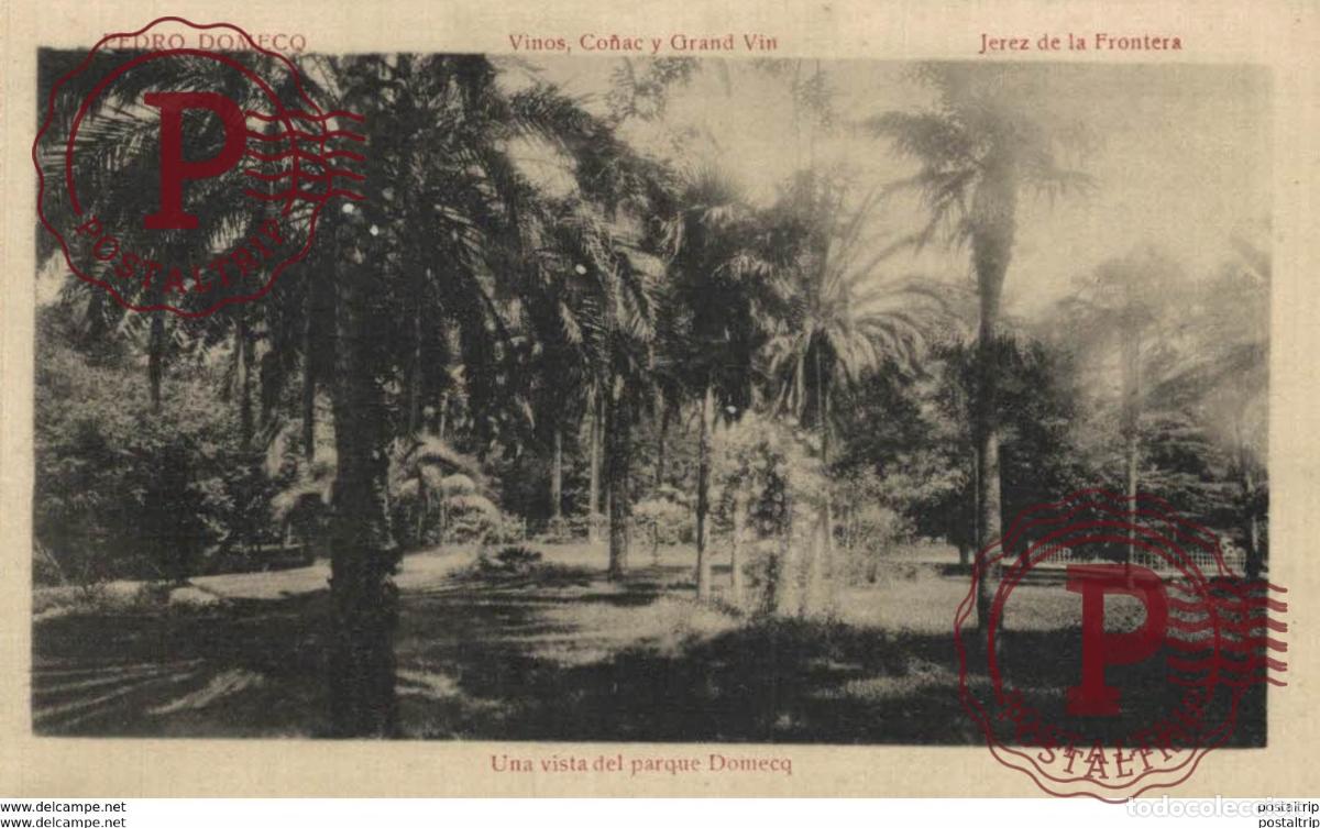 Postales: PEDRO DOMECO- JEREZ DE LA FRONTERA- UNA VISTA DEL PARQUE DOMECQ . C&Aacute;DIZ ANDALUC&Iacute;A ESPA&Ntilde;A ESPAGNE