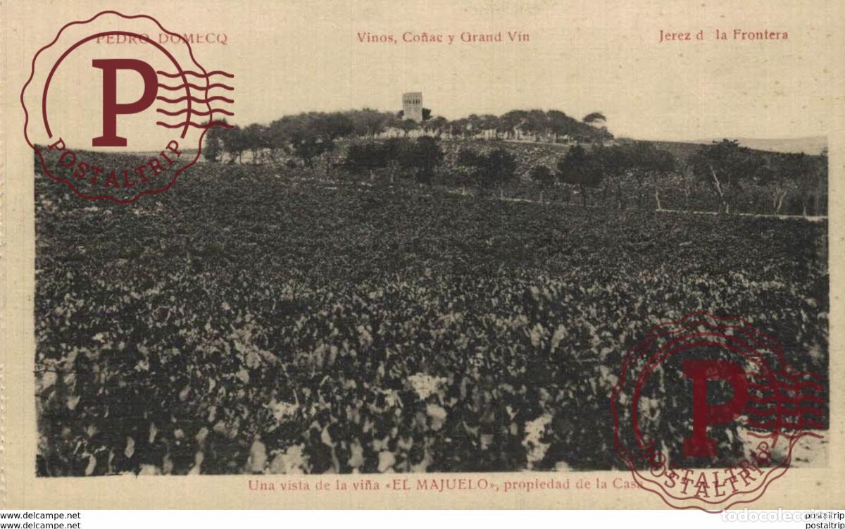 Postales: PEDRO DOMECO- JEREZ DE LA FRONTERA- VISTA DE LA VI&Ntilde;A EL MAJUELO, PROPIEDAD DE LA CASA . C&Aacute;DIZ ANDALU