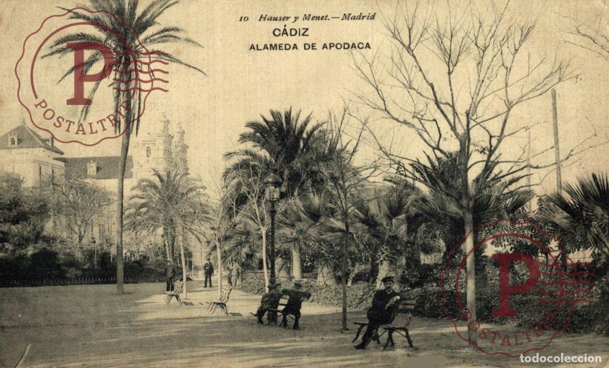 Postales: CADIZ. ALAMEDA DE APOCADA