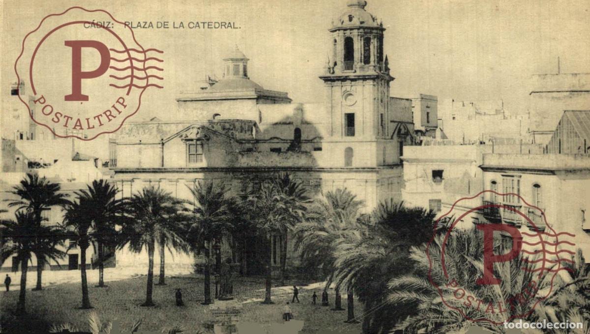 Postales: CADIZ. PLAZA DE LA CATEDRAL.
