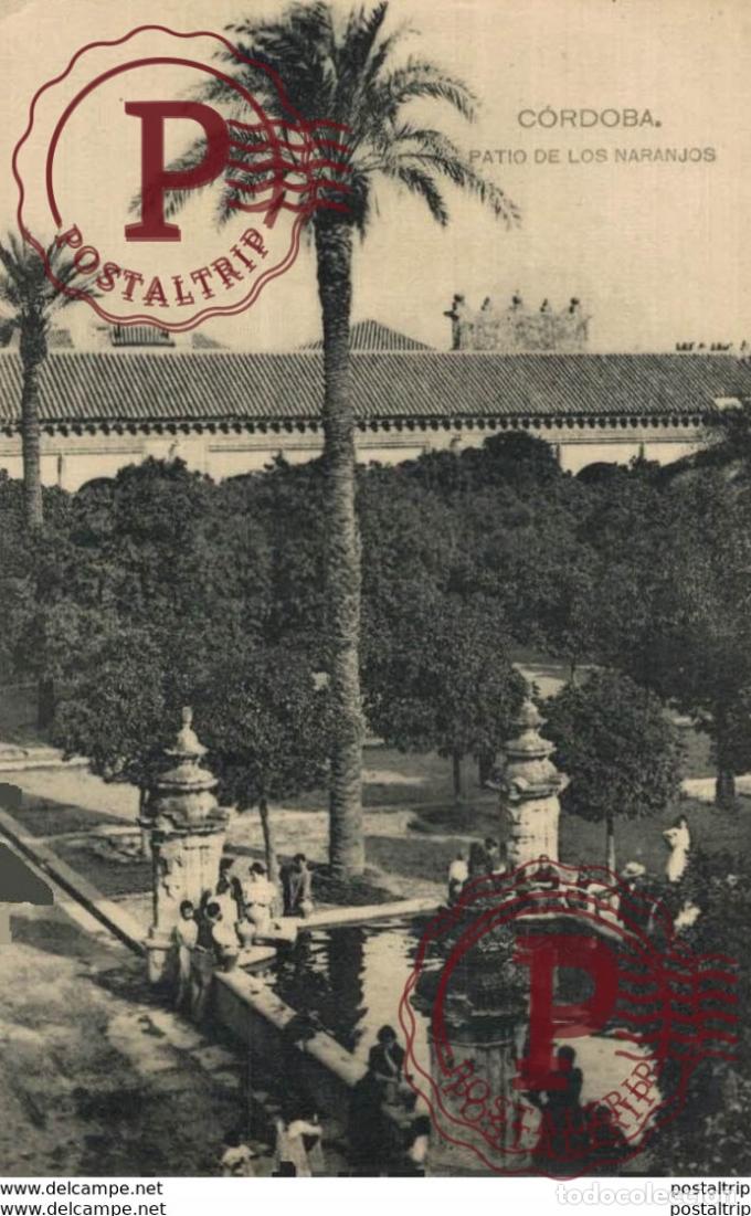 Cartoline: C&Oacute;RDOBA- PATIO DE LOS NARANJOS. C&Oacute;RDOBA ANDALUC&Iacute;A ESPA&Ntilde;A ESPAGNE