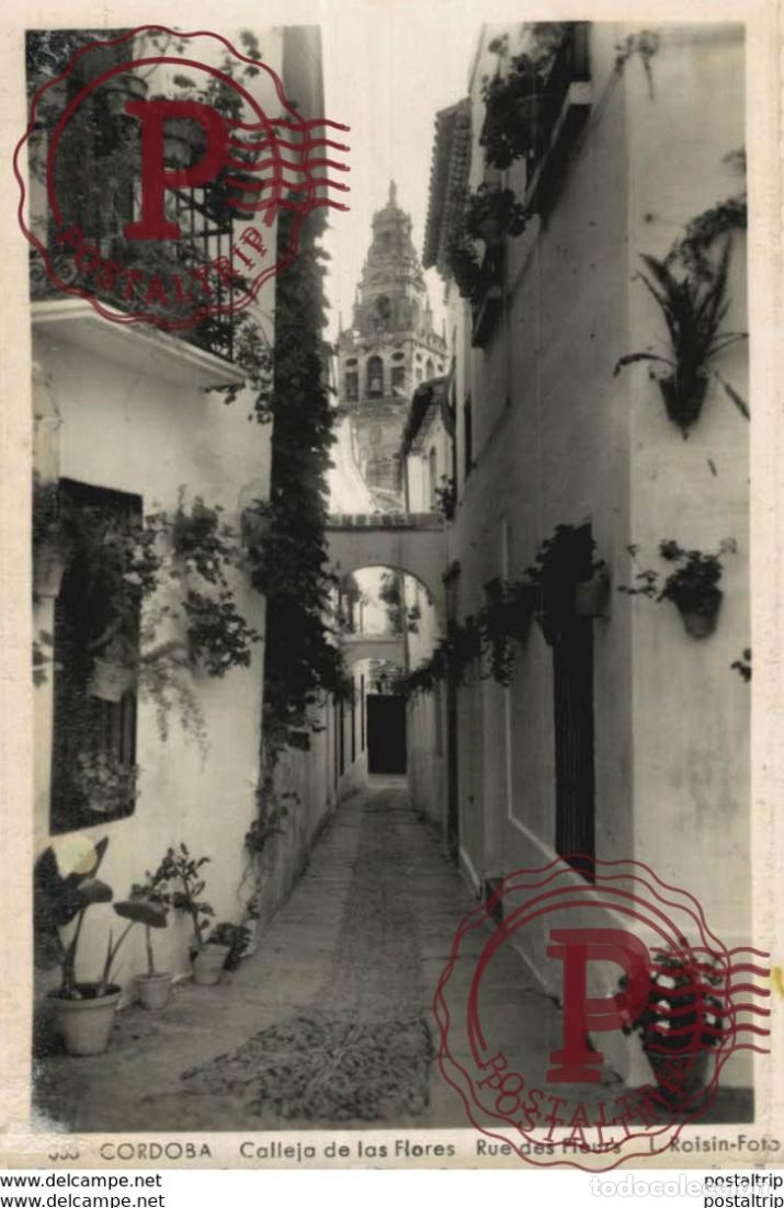 Cartoline: C&Oacute;RDOBA- CALLEJA DE LAS FLORES RUE DES FLEURS L.ROISIN FOTO. C&Oacute;RDOBA ANDALUC&Iacute;A ESPA&Ntilde;A ESPAGNE