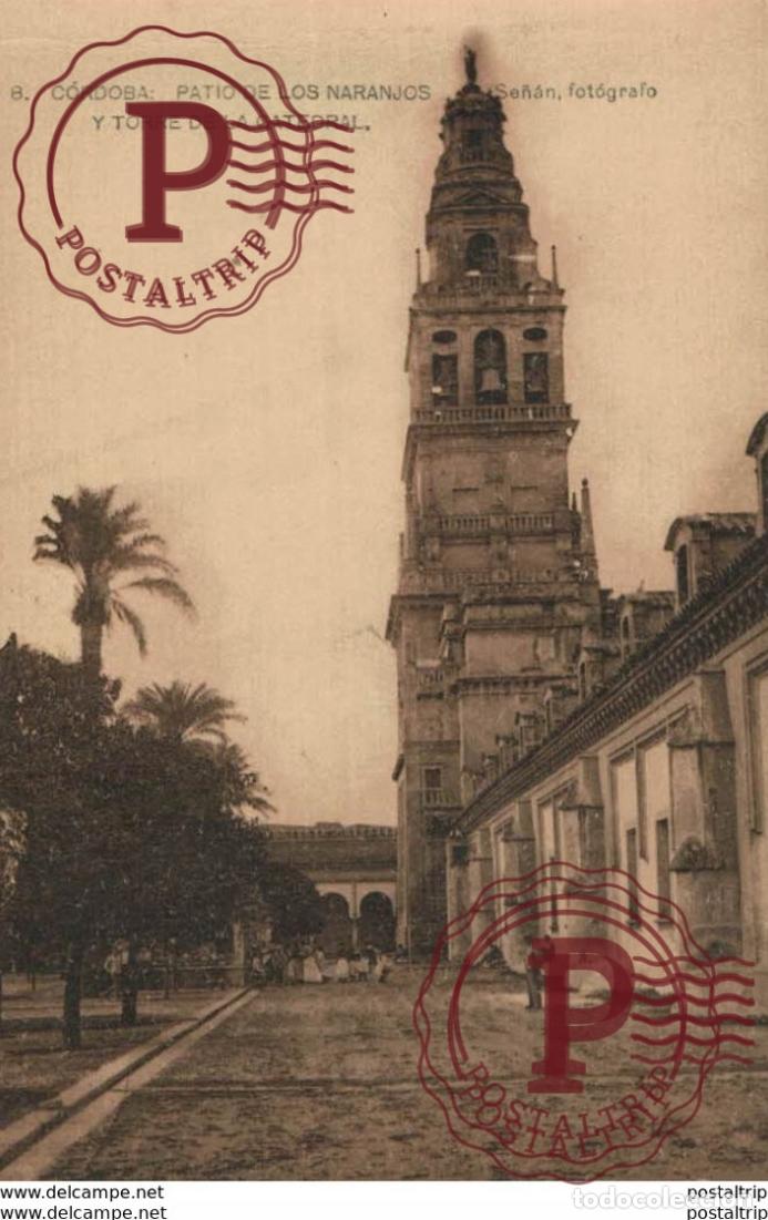 Cartoline: C&Oacute;RDOBA- PATIO DE LOS NARANJOS Y TORRE DE LA CATEDRAL SE&Ntilde;&Aacute;N FOT&Oacute;GRAFO. C&Oacute;RDOBA ANDALUC&Iacute;A ESPA&Ntilde;A ES