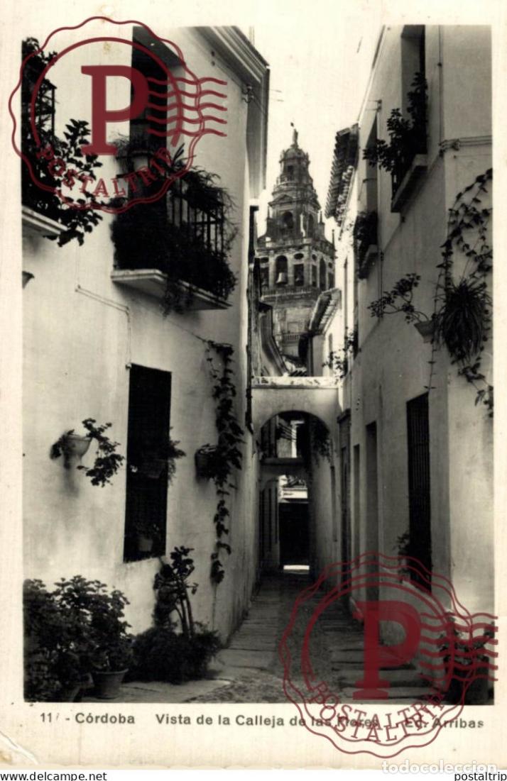 Cartoline: CORDOBA. VISTA DE LA CALLEJA DE LAS FLORES.
