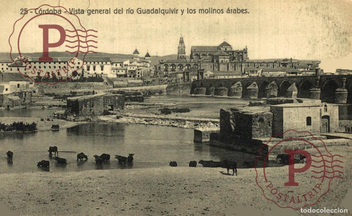 Cartoline: CORDOBA. VISTA GENERAL DEL RIO GUADALQUIVIR Y LOS MOLINOS ARABES