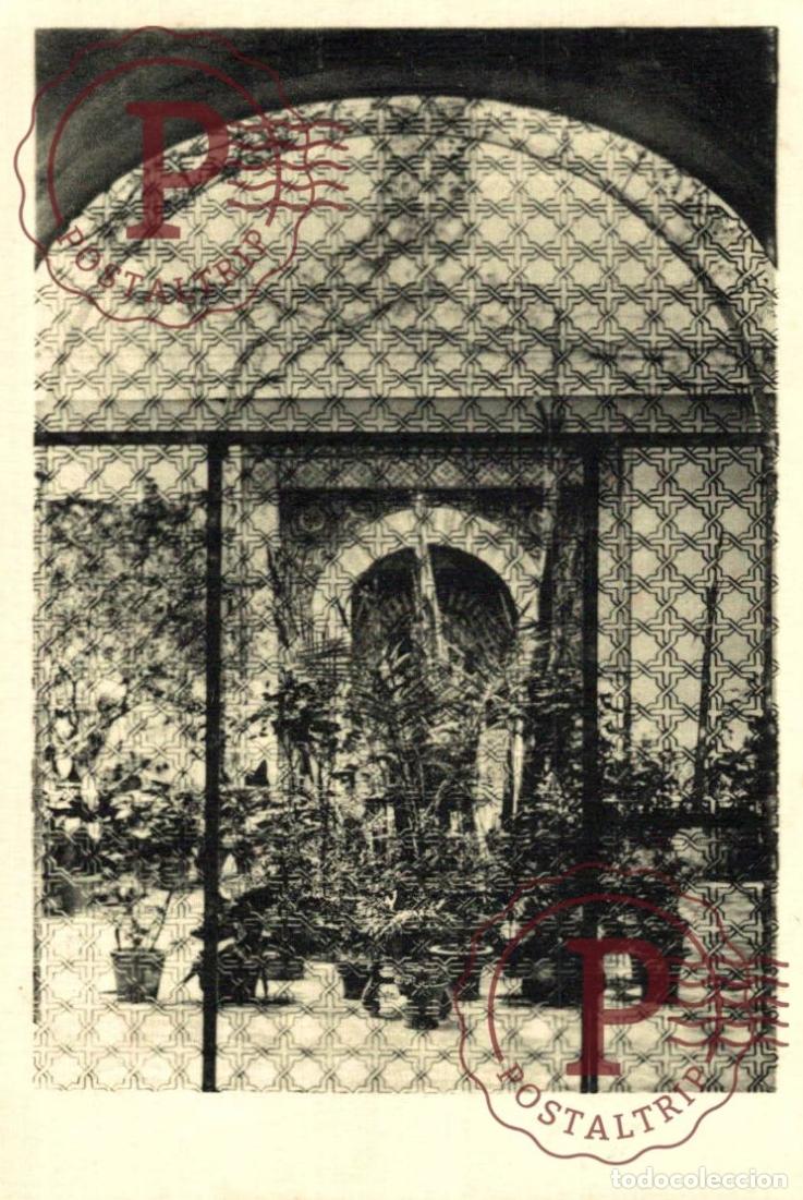 Postales: C&Oacute;RDOBA. Patio De Una Casa Particular. ANDALUC&Iacute;A ESPA&Ntilde;A ESPAGNE
