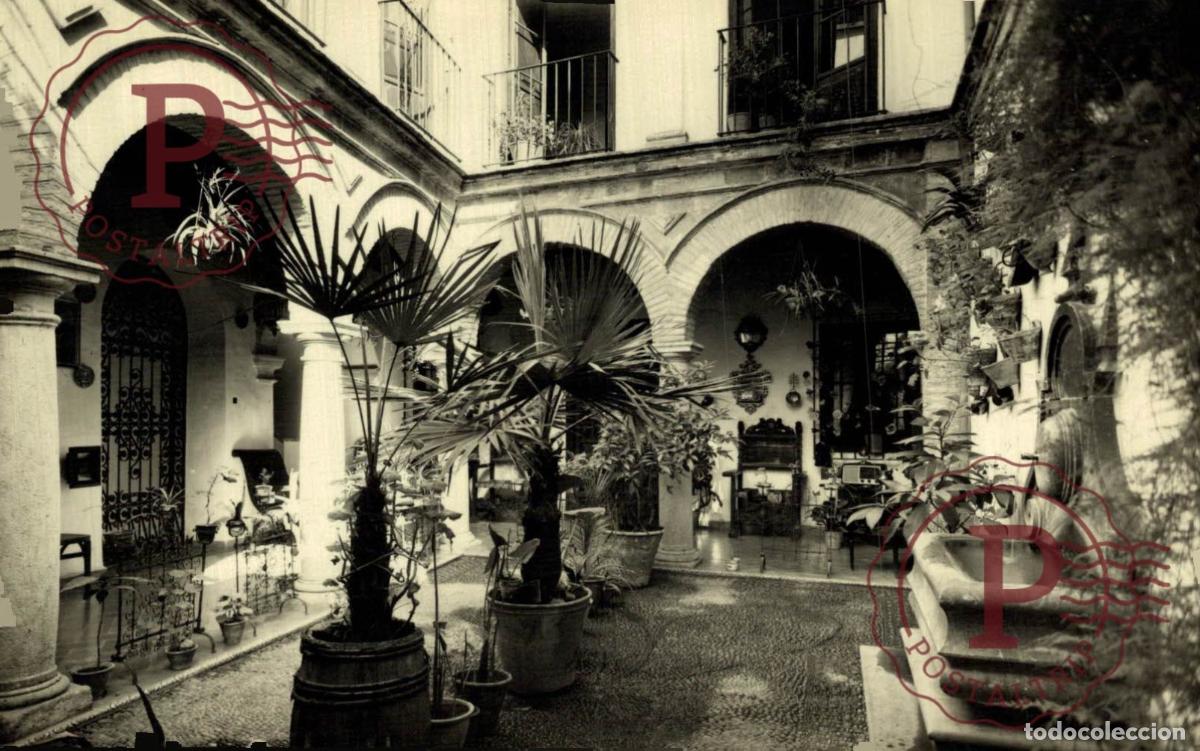 Postales: C&Oacute;RDOBA. Patio Cordob&eacute;s. ANDALUC&Iacute;A ESPA&Ntilde;A ESPAGNE