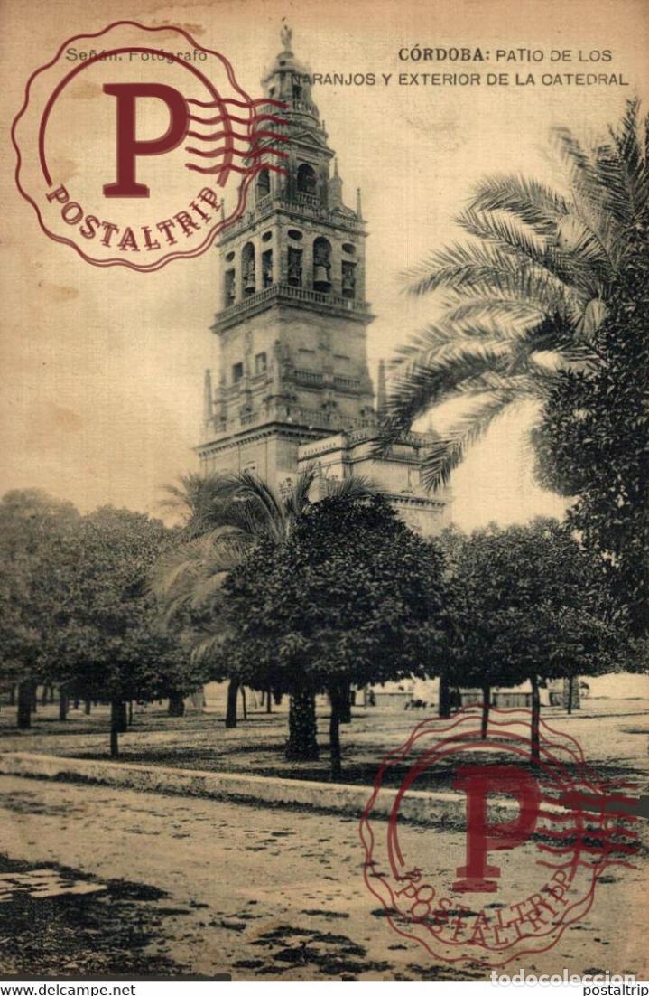 Postcards: C&Oacute;RDOBA PATIO DE LOS NARANJOS Y EXTERIOR DE LA CATEDRAL, SE&Ntilde;&Aacute;N FOT&Oacute;GRAFO ANDALUC&Iacute;A ESPA&Ntilde;A ESPAGNE