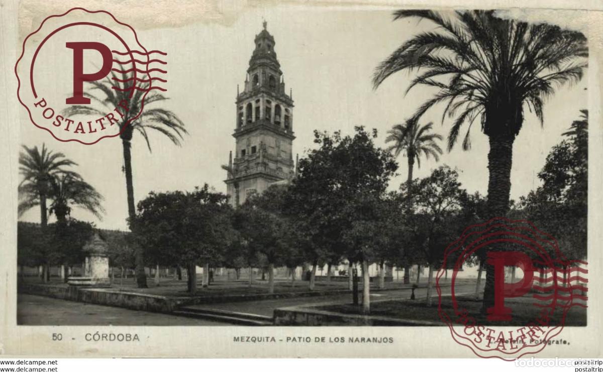 Postales: C&Oacute;RDOBA- MEZQUITA, PATIO DE LOS NARANJOS. C&Oacute;RDOBA ANDALUCIA ESPA&Ntilde;A ESPAGNE