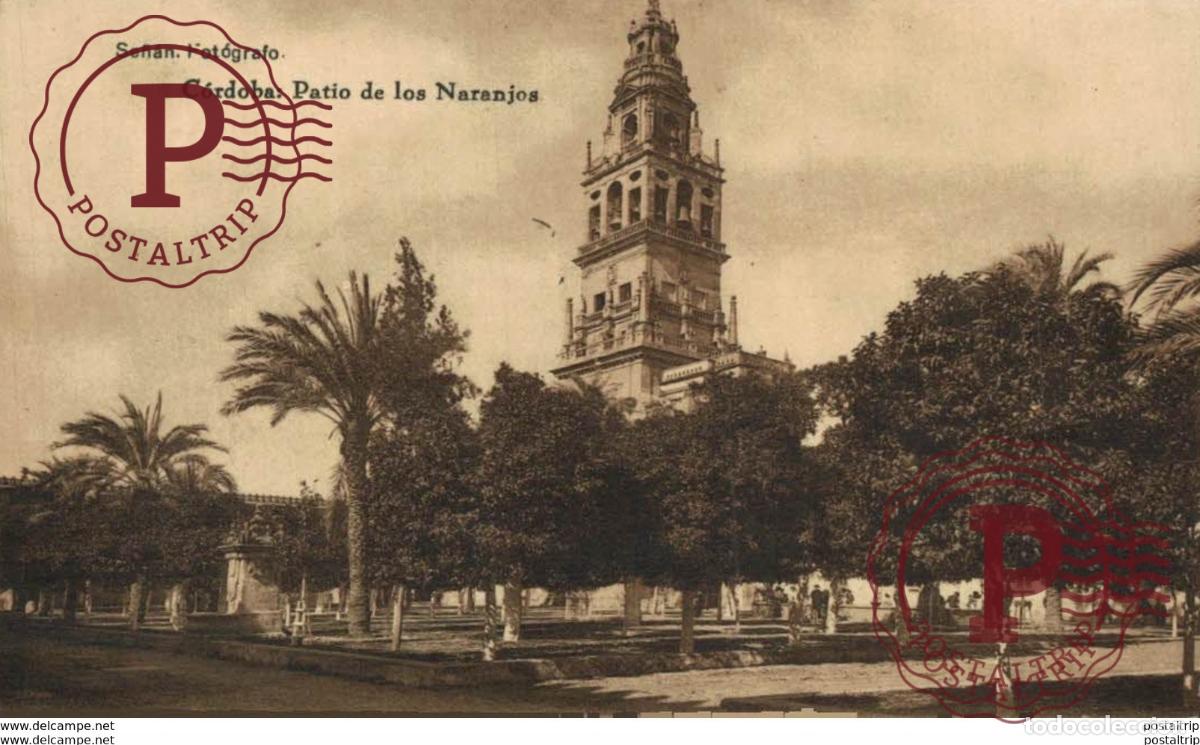 Postales: C&Oacute;RDOBA- PATIO DE LOS NARANJOS. C&Oacute;RDOBA ANDALUCIA ESPA&Ntilde;A ESPAGNE