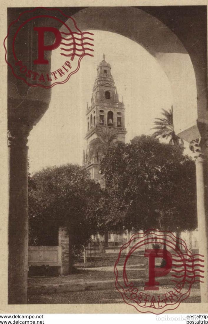 Postales: C&Oacute;RDOBA- ENMARCADO EN EL ARCO &Aacute;RABE, ALZA PRESUNTUOSO EL CAMPANARIO DE LA CATEDRAL. C&Oacute;RDOBA ANDALUC&Iacute;