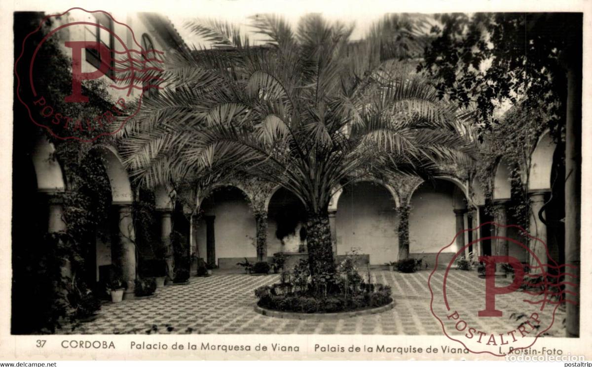Cartoline: CORDOBA PALACIO DE LA MARQUESA DE VIANA ANDALUCIA CORDOBA ESPA&Ntilde;A ESPAGNE