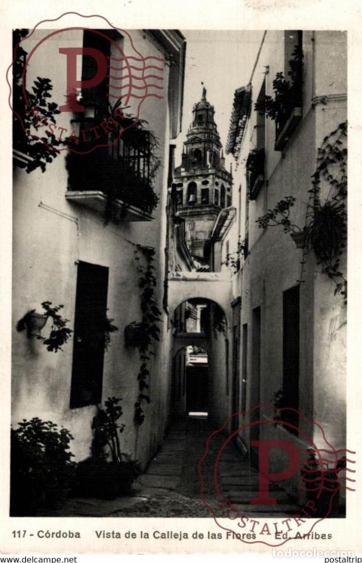 Postales: CORDOBA VISTA DE LA CALLEJA DE LAS FLORES ANDALUCIA CORDOBA ESPA&Ntilde;A ESPAGNE