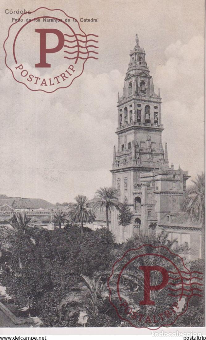 Postales: CORDOBA PATIO DE LOS NARANJOS DE LA CATEDRAL ANDALUCIA CORDOBA ESPA&Ntilde;A ESPAGNE