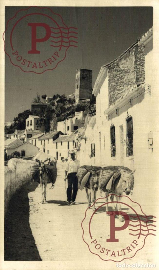 Postales: MALAGA. TORREMOLINOS. RPPC FOTOGRAFICA